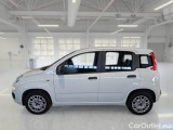  Fiat  Panda FIAT  / 2011 / 5P / BERLINA 1.2 69CV SeS E6D-TEMP EASY #8