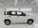  Fiat  Panda FIAT  / 2011 / 5P / BERLINA 1.2 69CV SeS E6D-TEMP EASY #7