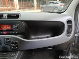  Fiat  Panda FIAT  / 2011 / 5P / BERLINA 1.2 69CV SeS E6D-TEMP EASY #56
