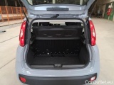  Fiat  Panda FIAT  / 2011 / 5P / BERLINA 1.2 69CV SeS E6D-TEMP EASY #62