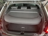  Audi  Q2 1.6 TDI 116 S TRONIC S LINE #13