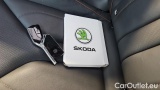  Skoda  ENYAQ 80 #12
