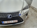  Lexus  NX Lexus   300h Business Line Plus AWD 5d #12