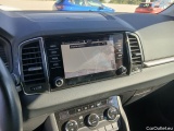  Skoda  Karoq  Ambition 2.0 115CV AT7 #13