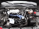  Opel  Insignia SPORTS Tourer 2.0 Diesel Aut. Elegance Automatic Diesel  4 #24