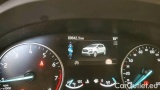  Ford   ECOSPORT 1.0 Ecoboost 125cv S&S ST-Line #13