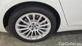  Bmw  Serie 5 530e Touring A #10