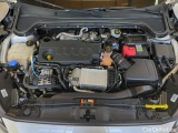  Ford  Focus  Turnier Cool & Connect 2.0 EcoBlue 110KW AT8 E6dT #18