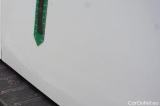  Ford  Transit  Custom Kasten 320 L1 2.0 TDCi 96KW MT6 E6dT #17