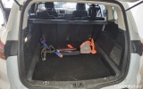  Ford  S-Max  Titanium 2.0 EcoBlue 140KW AT8 E6dT #10