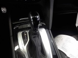  Opel  Insignia SPORTS Tourer 2.0 Diesel Aut. Ultimate Automatic Diesel  51 #14