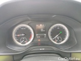  Skoda  Kodiaq 2.0 TDI 150 SCR DSG7 BUSINESS #7