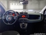  Fiat  Panda FIAT  / 2012 / 5P / BERLINA 1.3 MJT 80 CV VAN EURO6 SeS 4 POSTI EASY #3