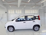 Fiat  Panda FIAT  / 2012 / 5P / BERLINA 1.3 MJT 80 CV VAN EURO6 SeS 4 POSTI EASY #8