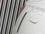  Skoda  Octavia COMBI 2.0 TDI DSG  27 #20