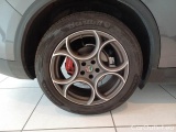  Alfa Romeo   STELVIO ALFA ROMEO / 2017 / 5P / SUV 2.2 TURBO D 160CV ROSSO EDIZIONE AT8 RWD #18