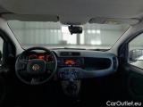 Fiat  Panda FIAT  / 2011 / 5P / BERLINA 1.0 70CV SeS HYBRID #3