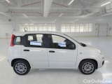  Fiat  Panda FIAT  / 2011 / 5P / BERLINA 1.0 70CV SeS HYBRID #7