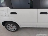  Fiat  Panda FIAT  / 2011 / 5P / BERLINA 1.0 70CV SeS HYBRID #35