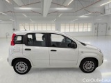  Fiat  Panda FIAT  / 2011 / 5P / BERLINA 1.0 70CV SeS HYBRID #7