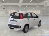  Fiat  Panda FIAT  / 2011 / 5P / BERLINA 1.0 70CV SeS HYBRID #2