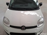  Fiat  Panda FIAT  / 2011 / 5P / BERLINA 1.0 70CV SeS HYBRID #26