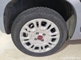  Fiat  Panda FIAT  / 2011 / 5P / BERLINA 1.0 FIREFLY 70CV SeS HYBRID #18
