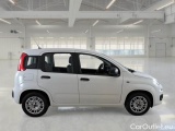  Fiat  Panda FIAT  / 2011 / 5P / BERLINA 1.0 FIREFLY 70CV SeS HYBRID #7