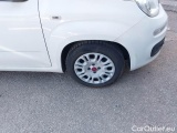  Fiat  Panda FIAT  / 2011 / 5P / BERLINA 1.0 FIREFLY 70CV SeS HYBRID #41