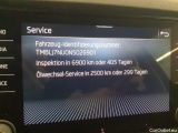  Skoda  Karoq 2.0 TDI SCR 4x4 DSG Clever Automatic Diesel  81 #25