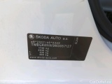  Skoda  KAMIQ SKODA  1.0 TSI 81kW (110CV) DSG Ambition #17
