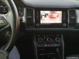  Skoda  Kodiaq  Ambition 2.0 TDI 150CV AT7 E6d #13