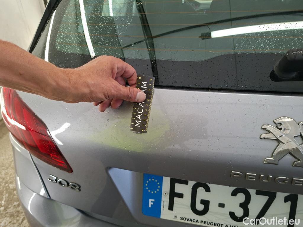  Peugeot  308  Active Business 1.5 HDi 130CV BVM6 E6dT #21