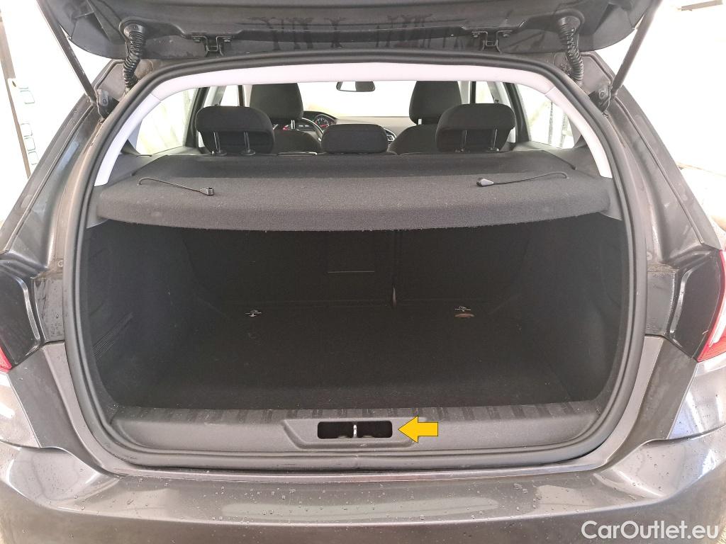  Peugeot  308  Active Business 1.6 HDi 100CV BVM5 E6 #46