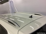  Volkswagen  Golf  Alltrack 2.0 TDI 4Motion Ski Team Edition Drag Paket Värmare #14