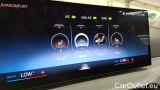  Bmw  Serie 3 320d xDrive Touring Automatic #14