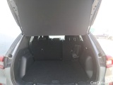  Ford  Kuga FORD  / 2024 / 5P / todoterreno ST-Line 2.5 Duratec FHEV 132kW Auto #8