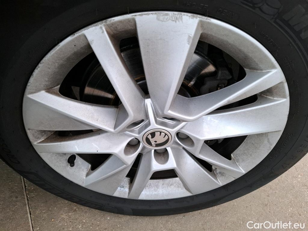  Skoda  Karoq  Business 2.0 TDI 150CV BVM6 E6d #15