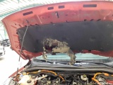  Ford  Kuga 2.5 Duratec PHEV TITANIUM X Automatic Petrol/Electric  46 #39