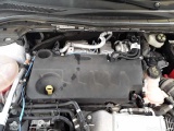 Ford  Kuga 2.0 EcoBlue Aut. 4x4 ST-LINE Automatic Diesel  85 #29