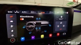  Cupra  Formentor 2.0 TDI 110kW 4Drive DSG #14