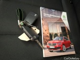  Skoda  KAMIQ  Business 1.0 TSI 110CV BVA7 E6d #12