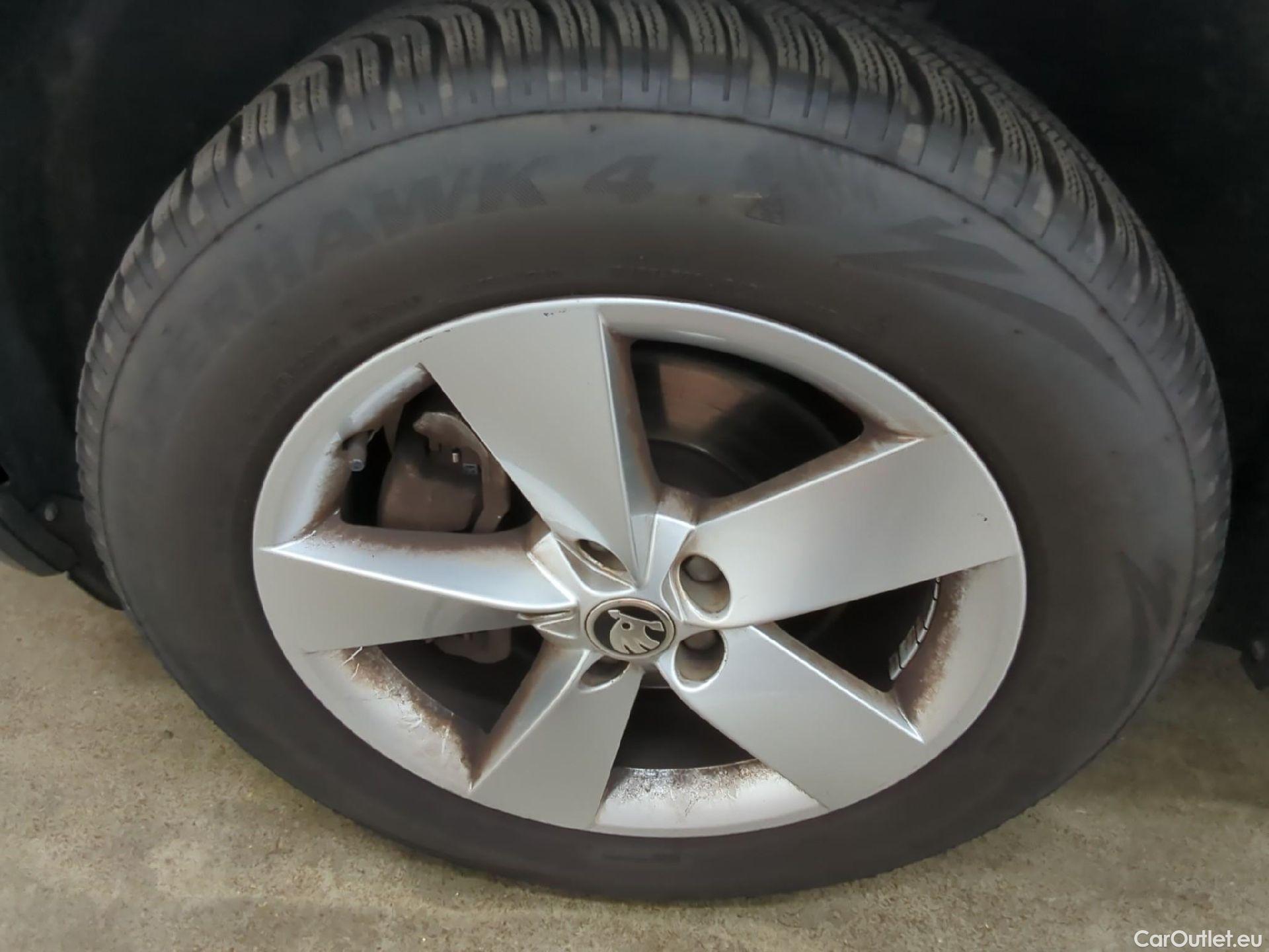  Skoda  Kodiaq  Business 2.0 TDI 150CV BVA7 E6 #1
