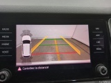  Skoda  Kodiaq  Business 2.0 TDI 150CV BVA7 E6 #13