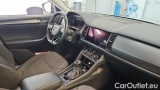  Skoda  Kodiaq 2.0l TDI 147kW DSG 4x4 CLEVER #7