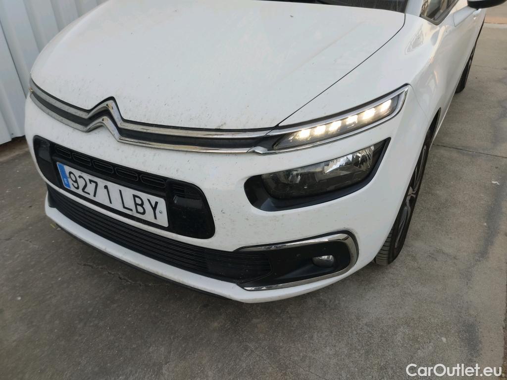  Citroen  C4 Grand Picasso /Spacetourer Feel 1.5 BlueHDi 130CV MT6 E6dT #12