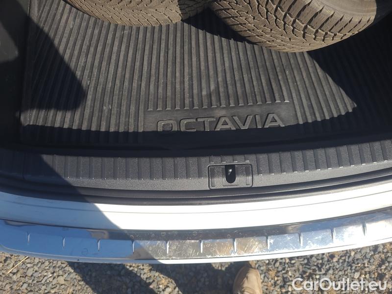  Skoda  Octavia  Combi (NX3)(2020) Oct.C.2.0TDI 110 4x4 Ambit AT #15