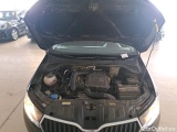  Skoda  Fabia Ambition 1.0TSi 95pk/cv 5p DSG7 Automatic Petrol  14 #21