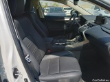  Lexus  NX LEXUS  / 2017 / 5P / todoterreno 2.5 300h Premium 2WD #6
