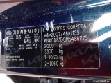  KIA  Niro  Drive Plug-In Hybrid 1.6 105CV AT6 E6d #19